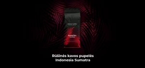 Rūšinės kavos pupelės Indonesia Sumatra