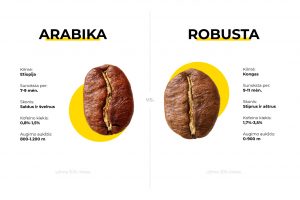 Arabika vs Robusta