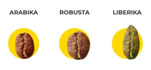 Arabika, robusta ir liberika