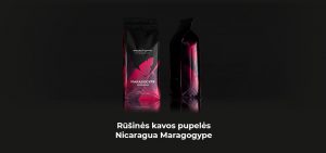 Rūšinės kavos pupelės Nicaragua Maragogype