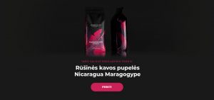 Rūšinės kavos pupelės Nicaragua Maragogype