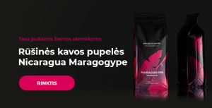 Rūšinės kavos pupelės Nicaragua Maragogype