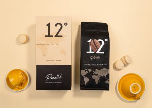 Parallel 12