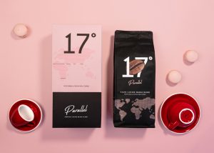 Parallel 17