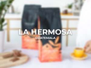 Rūšinė kava Guatemala La Hermosa